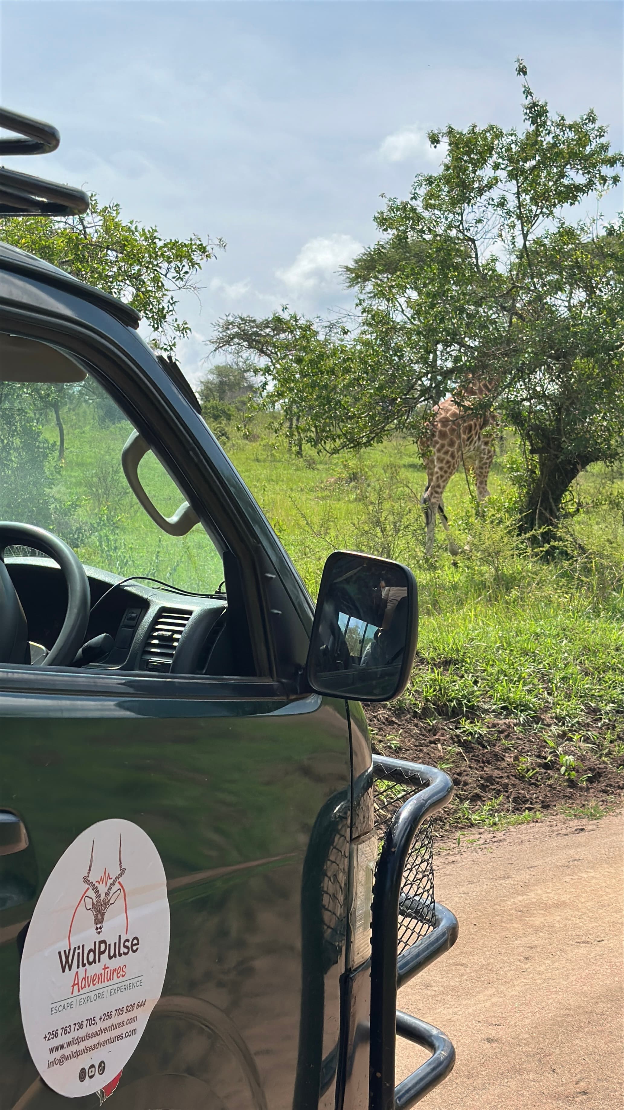 WildPulse safari vehicle with giraffe encounter