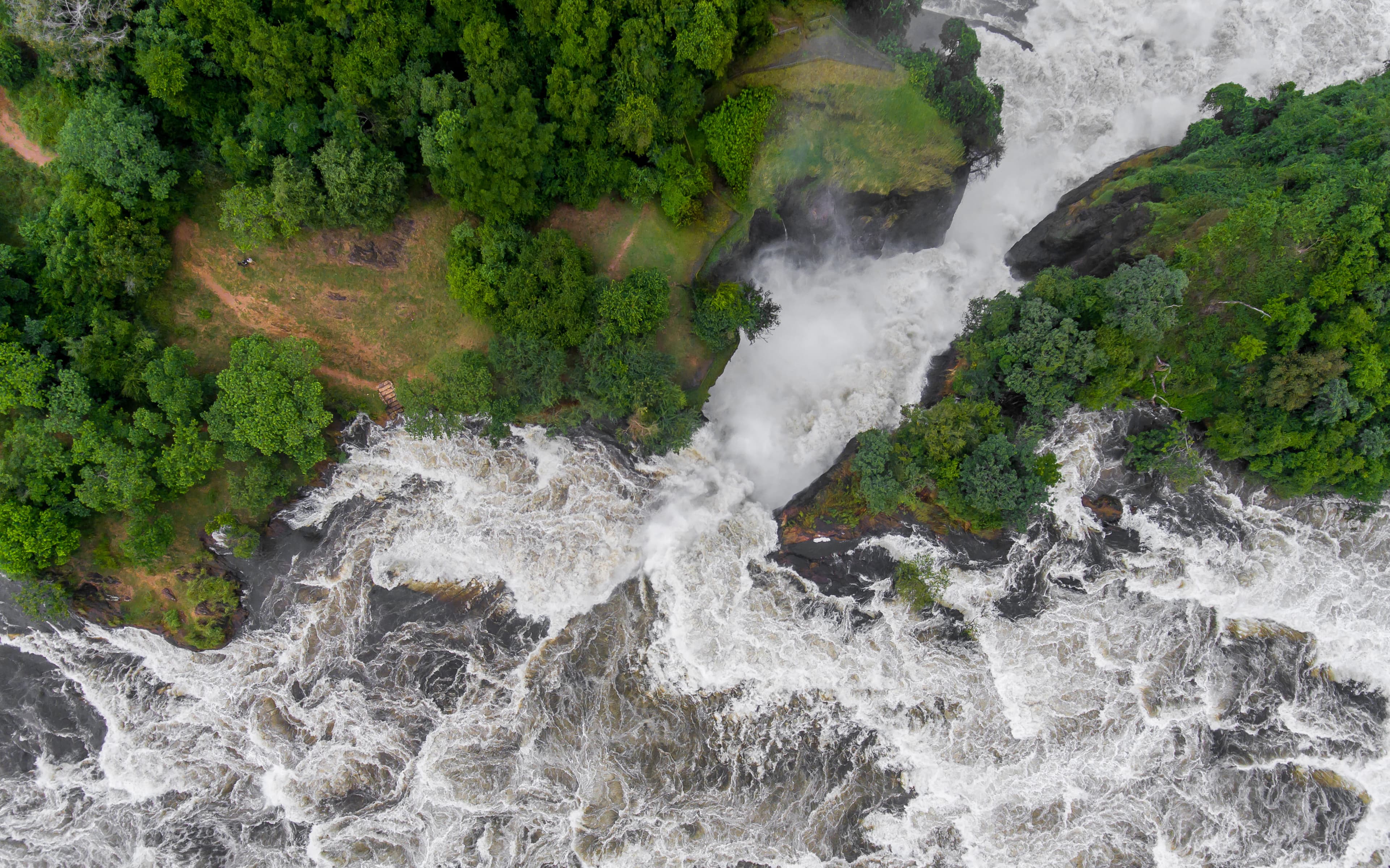 3 DAYS IN MURCHISON FALLS SAFARI